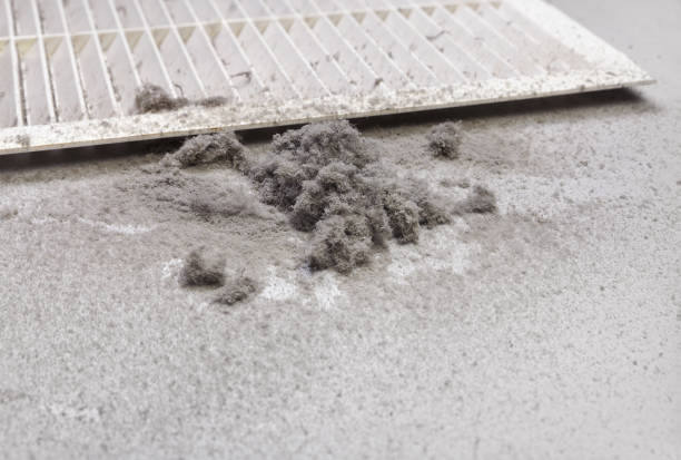 Best Local Air Duct Cleaning Services  in Drexel Heights, AZ